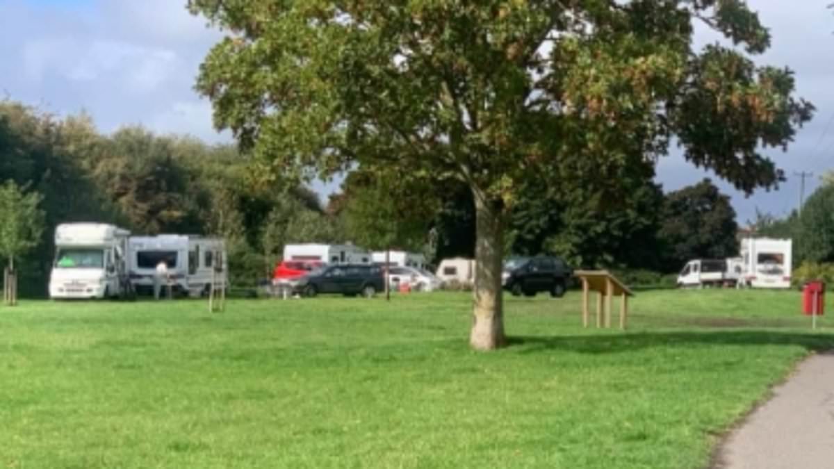 Travellers land grab wildflower meadow in chocolate box village